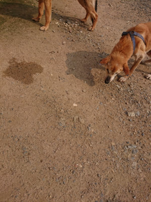 f:id:roukenhome-ann:20190619184411j:plain