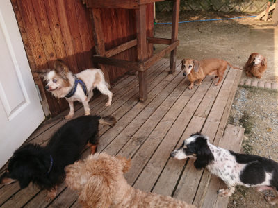 f:id:roukenhome-ann:20190619184416j:plain