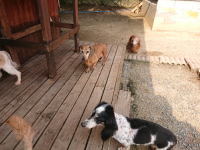 f:id:roukenhome-ann:20190619184438j:plain