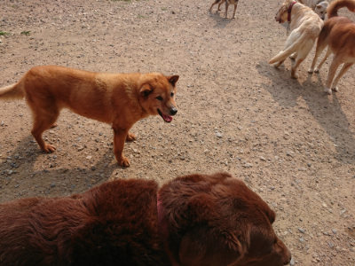 f:id:roukenhome-ann:20190619184442j:plain