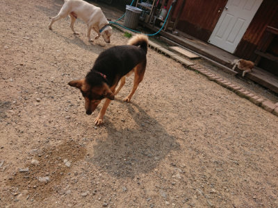 f:id:roukenhome-ann:20190619184447j:plain