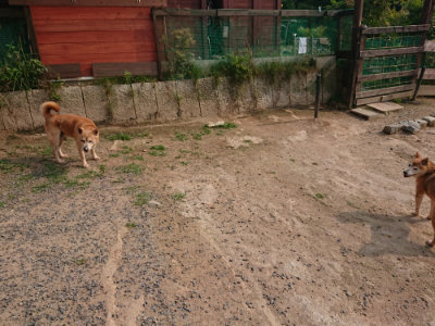 f:id:roukenhome-ann:20190619184528j:plain