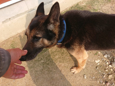 f:id:roukenhome-ann:20190619184637j:plain