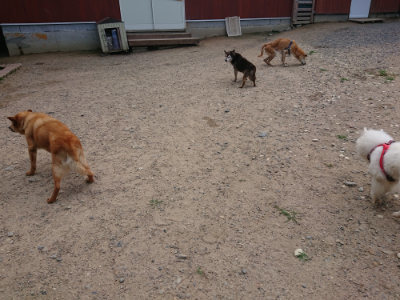 f:id:roukenhome-ann:20190620143317j:plain