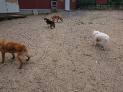 f:id:roukenhome-ann:20190620143322j:plain