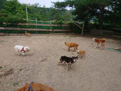 f:id:roukenhome-ann:20190620143355j:plain