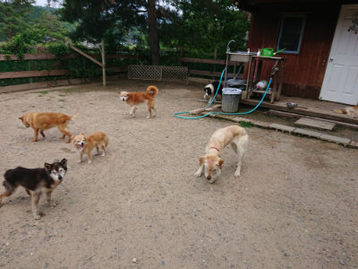 f:id:roukenhome-ann:20190620143359j:plain