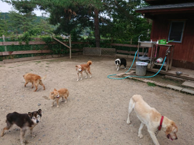 f:id:roukenhome-ann:20190620143413j:plain