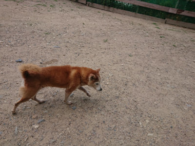 f:id:roukenhome-ann:20190620143418j:plain
