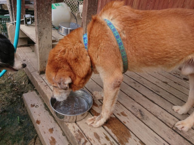 f:id:roukenhome-ann:20190620143422j:plain