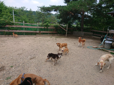 f:id:roukenhome-ann:20190620143446j:plain
