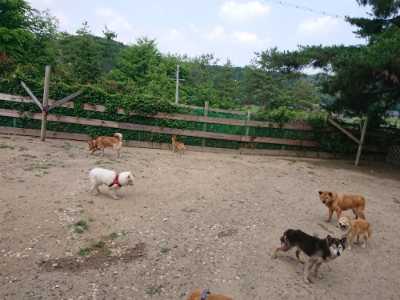 f:id:roukenhome-ann:20190620143450j:plain