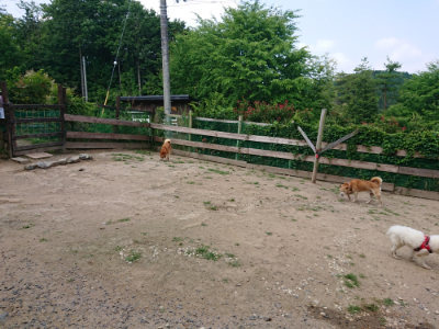f:id:roukenhome-ann:20190620143454j:plain