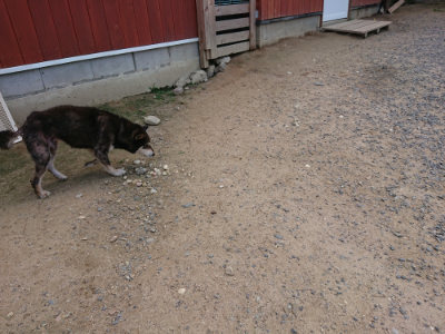 f:id:roukenhome-ann:20190620143505j:plain