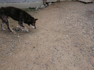 f:id:roukenhome-ann:20190620143509j:plain