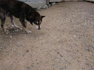 f:id:roukenhome-ann:20190620143515j:plain