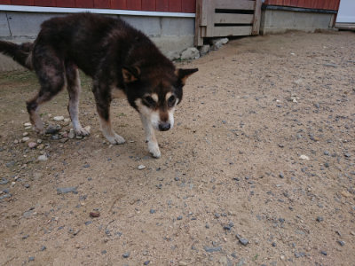 f:id:roukenhome-ann:20190620143519j:plain