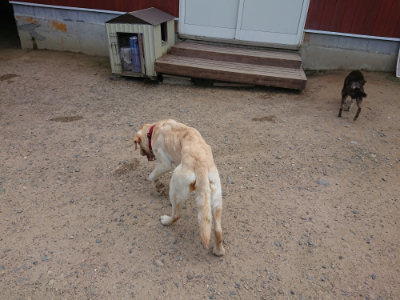 f:id:roukenhome-ann:20190620143534j:plain