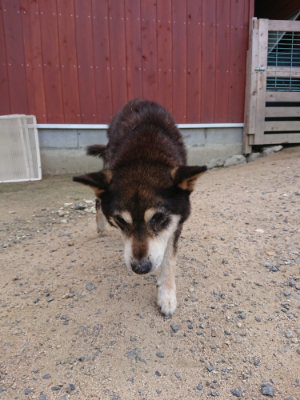 f:id:roukenhome-ann:20190620143544j:plain