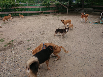 f:id:roukenhome-ann:20190620143550j:plain