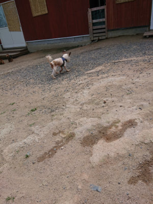 f:id:roukenhome-ann:20190620143612j:plain