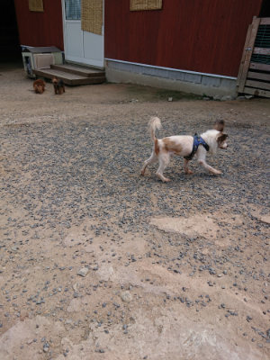 f:id:roukenhome-ann:20190620143636j:plain