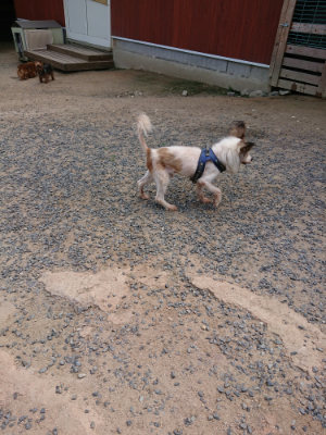 f:id:roukenhome-ann:20190620143653j:plain
