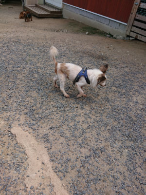 f:id:roukenhome-ann:20190620143658j:plain
