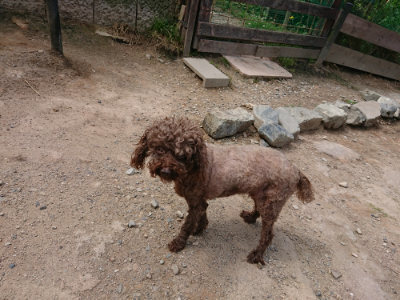 f:id:roukenhome-ann:20190620143735j:plain