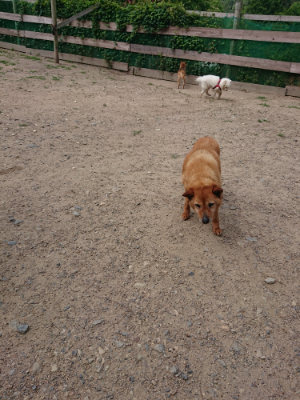 f:id:roukenhome-ann:20190620143740j:plain