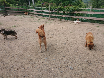 f:id:roukenhome-ann:20190620144022j:plain