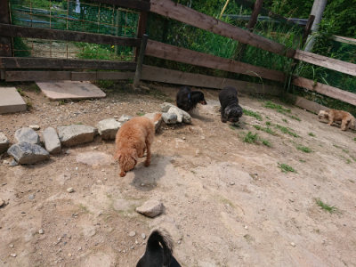 f:id:roukenhome-ann:20190620144150j:plain