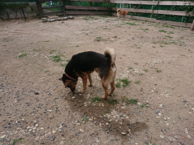 f:id:roukenhome-ann:20190620144200j:plain
