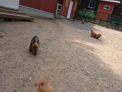 f:id:roukenhome-ann:20190620144207j:plain