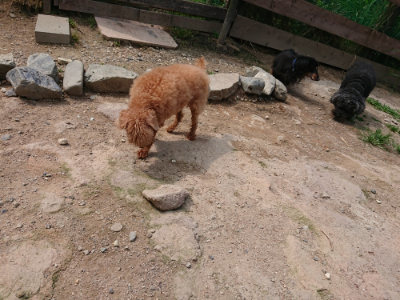 f:id:roukenhome-ann:20190620144212j:plain