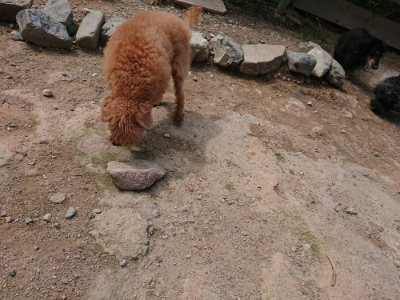 f:id:roukenhome-ann:20190620144217j:plain