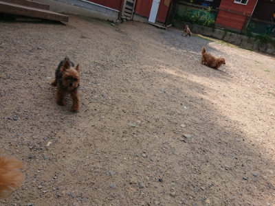 f:id:roukenhome-ann:20190620144228j:plain