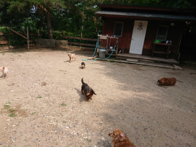 f:id:roukenhome-ann:20190620144311j:plain