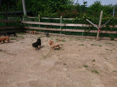 f:id:roukenhome-ann:20190620144331j:plain