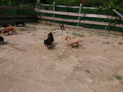 f:id:roukenhome-ann:20190620144345j:plain