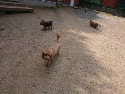 f:id:roukenhome-ann:20190620144401j:plain