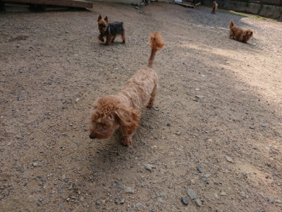 f:id:roukenhome-ann:20190620144423j:plain