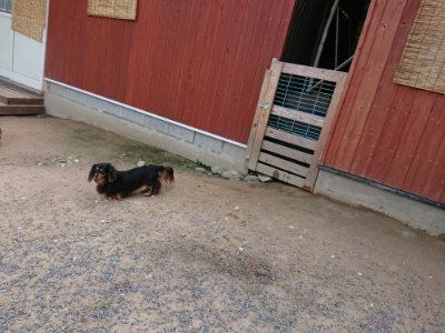 f:id:roukenhome-ann:20190620144444j:plain