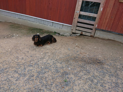 f:id:roukenhome-ann:20190620144508j:plain