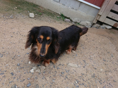 f:id:roukenhome-ann:20190620144512j:plain