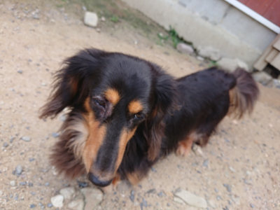f:id:roukenhome-ann:20190620144527j:plain