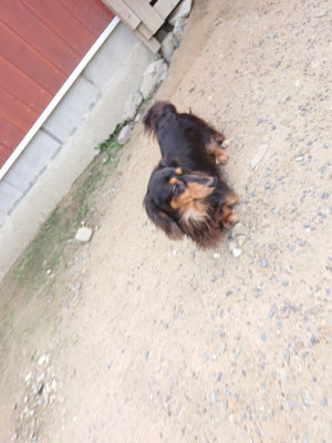 f:id:roukenhome-ann:20190620144532j:plain