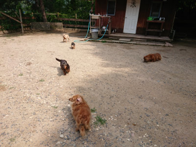 f:id:roukenhome-ann:20190620144537j:plain
