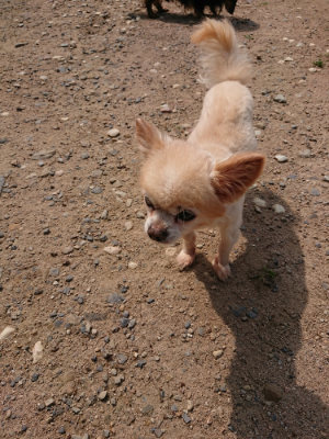 f:id:roukenhome-ann:20190620151859j:plain