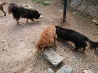f:id:roukenhome-ann:20190620151908j:plain
